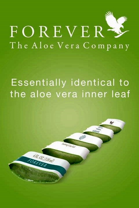 Khasiat Aloe Vera - Forever Living Products Malaysia
