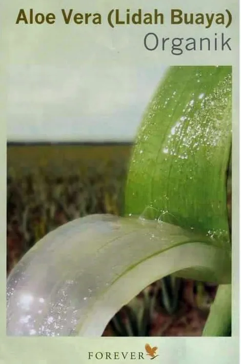 Khasiat Aloe Vera Forever Living Products