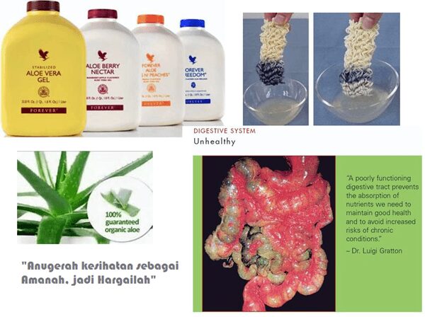 Khasiat Aloe Vera Forever Living