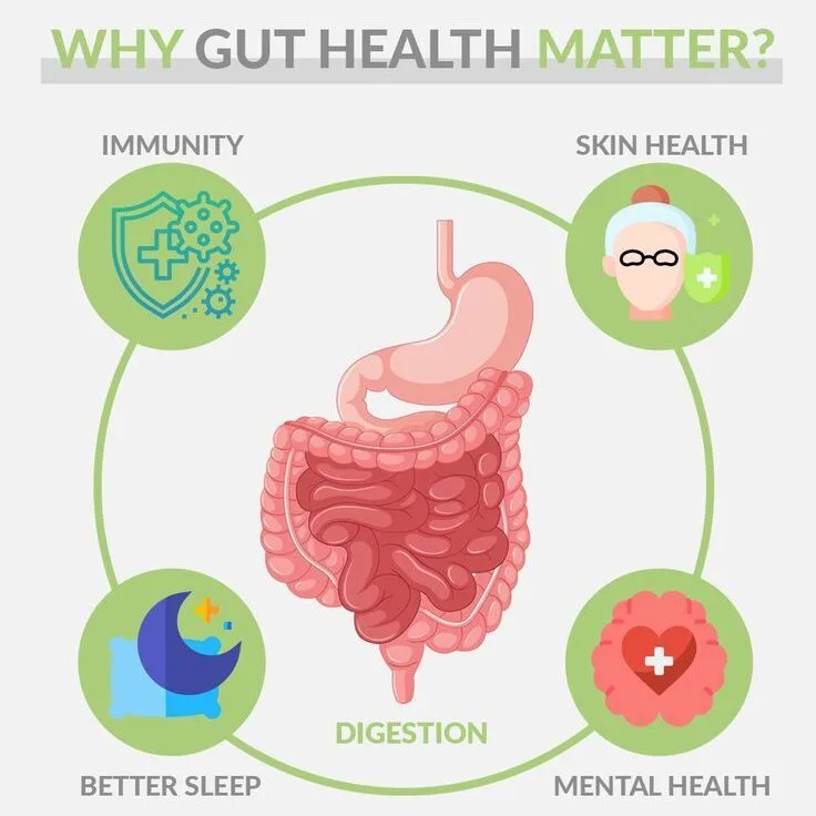 Peranan Sistem Penghadaman dalam Kesihatan Menyeluruh: Cara Menjaga Usus untuk Mencegah Penyakit