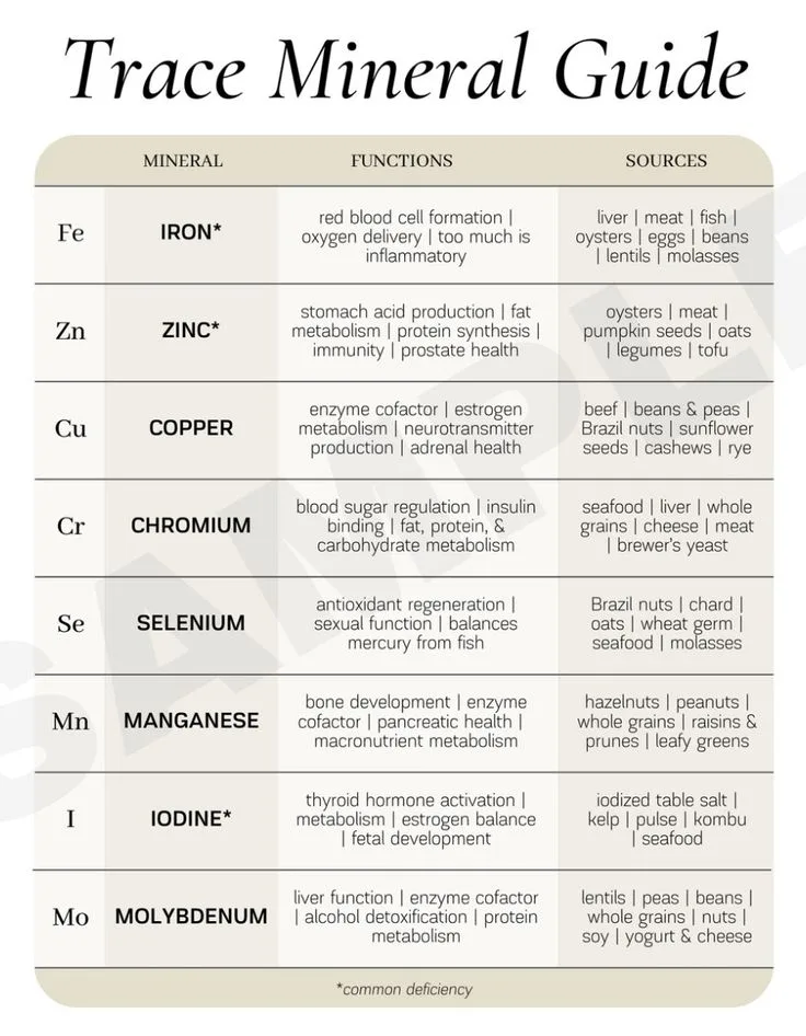 Sumber Mineral Penting untuk Kesihatan Tubuh – Nature Min