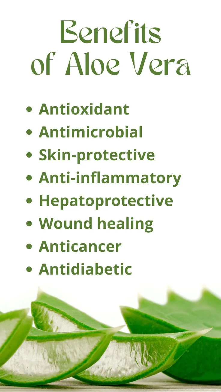 Atasi Masalah Penuaan (Aging) dengan Superfoods Kaya Antioksidan