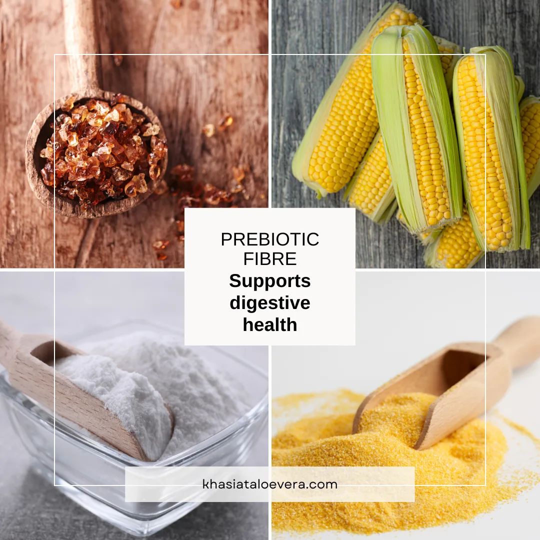 Mengapa Kombinasi Acacia Gum, FOS, Soluble Corn Fiber & Soluble Corn Dextrin Adalah Formula Hebat untuk Usus Sihat