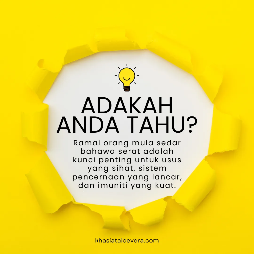 Acacia Gum – Keajaiban Serat Larut Air dari Alam Semula Jadi