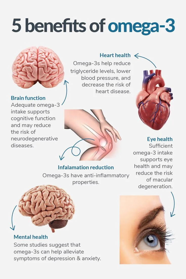 Kepentingan Khasiat Omega 3 untuk Kesihatan Anda
