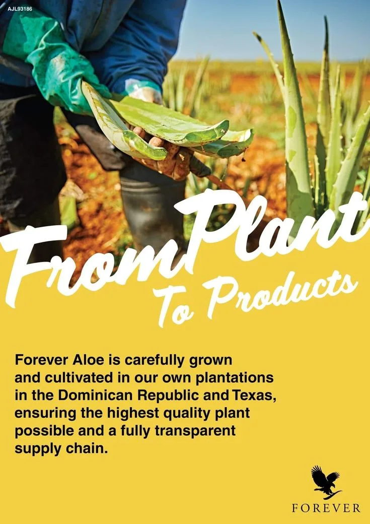 Shop Produk Aloe Vera Original Forever Living Malaysia Pengedar Sah