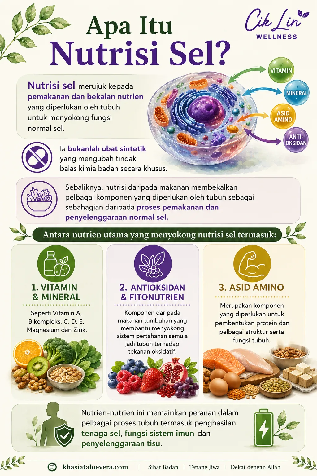 Nutrisi Sel: Rahsia Menjaga Kesihatan Dari Punca & Amanah Menjaga Kesihatan