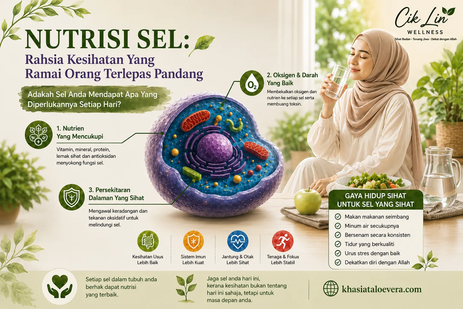 Nutrisi Sel: Rahsia Kesihatan Yang Ramai Orang Terlepas Pandang – Adakah Sel Anda Mendapat Apa Yang Diperlukannya Setiap Hari?
